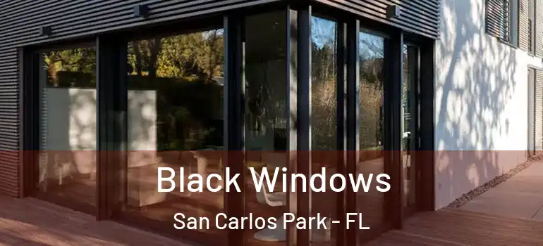  Black Windows San Carlos Park - FL