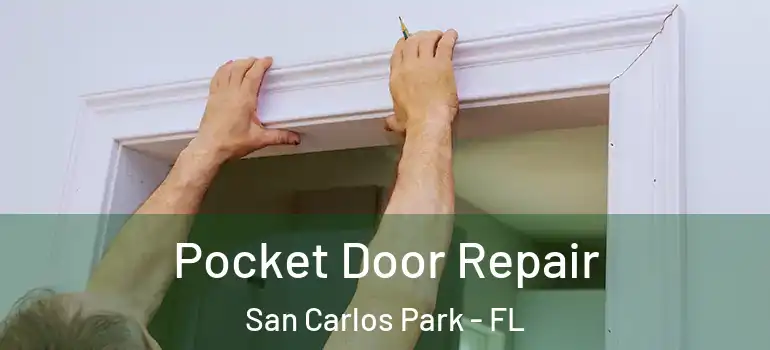  Pocket Door Repair San Carlos Park - FL