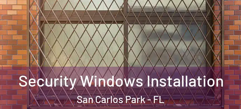  Security Windows Installation San Carlos Park - FL