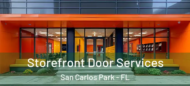  Storefront Door Services San Carlos Park - FL