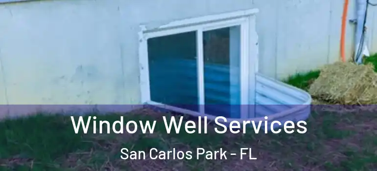  Window Well Services San Carlos Park - FL